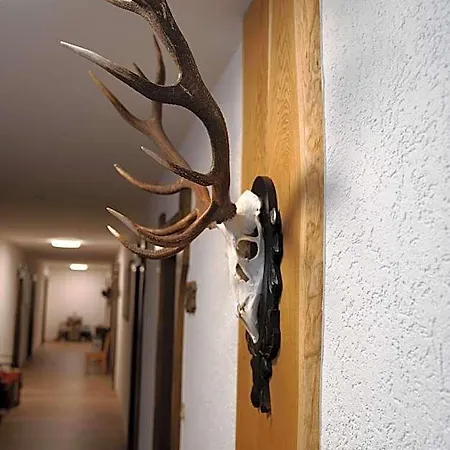 Landpension Pferdekoppel - Self Check-In - B&B Mit Schwarzwaldplus Karte 3* Seewald