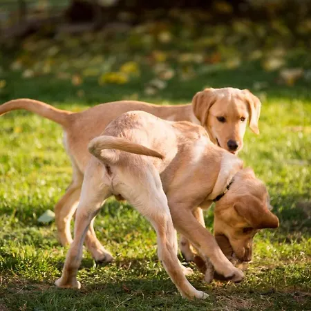 Landpension Pferdekoppel - - Self Checkin Hotel Seewald