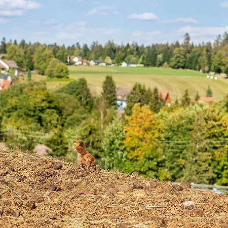 Landpension Pferdekoppel - - Self Checkin 3*